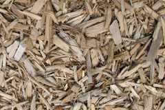 biomass boilers Ringlestone